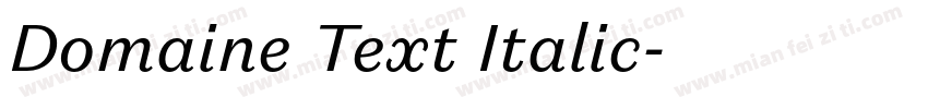Domaine Text Italic字体转换